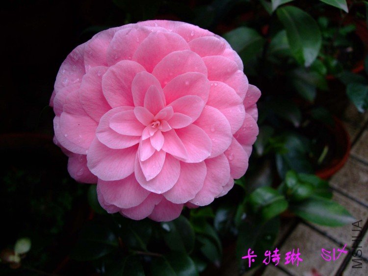 ������  10-4-19 (1).jpg