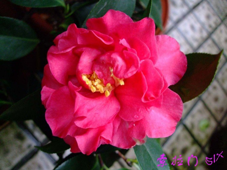 ������  10-4-20(1).jpg