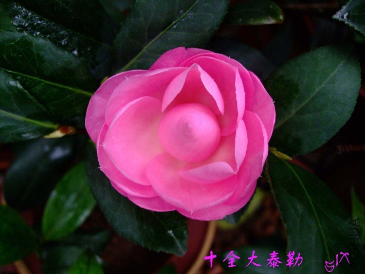 ʮȫ��̩�� 10-4-20 (1).jpg