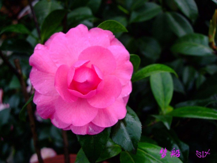 �δ�   10-4-19 (2).jpg