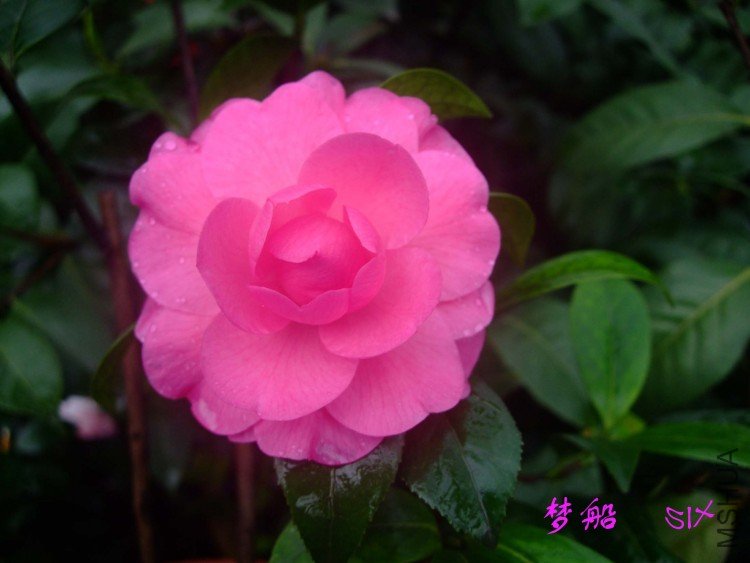 �δ�   10-4-19(1).jpg