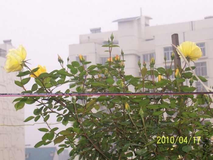 100_6848.JPG