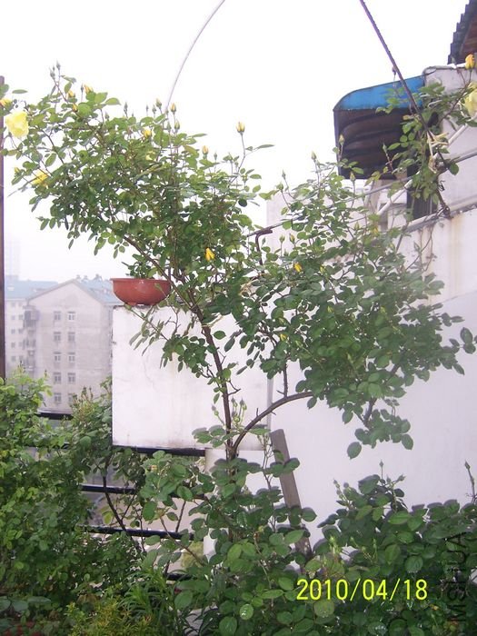 100_6861.JPG