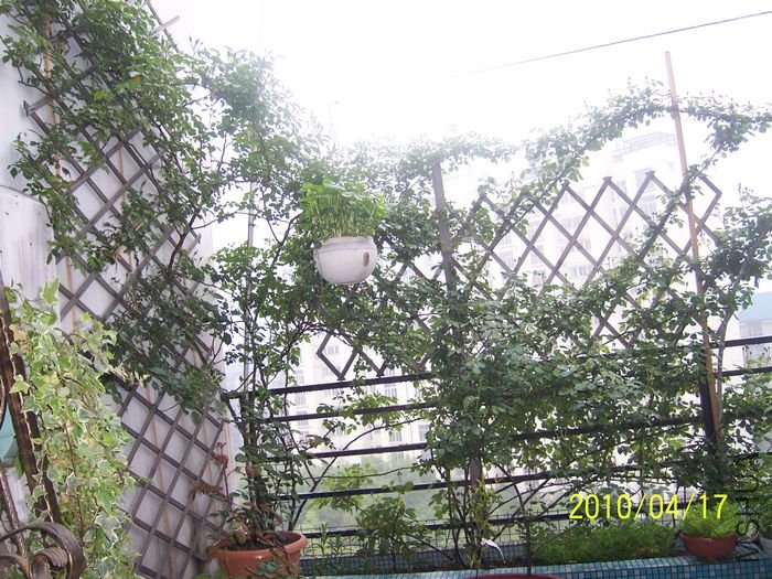 100_6858.JPG