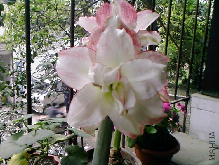 ��Ƭ-1041.jpg