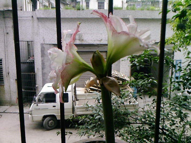 ��Ƭ-1043.jpg