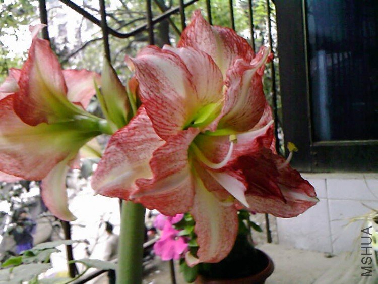 ��Ƭ-1048.jpg