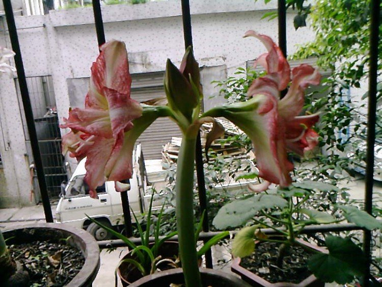 ��Ƭ-1046.jpg