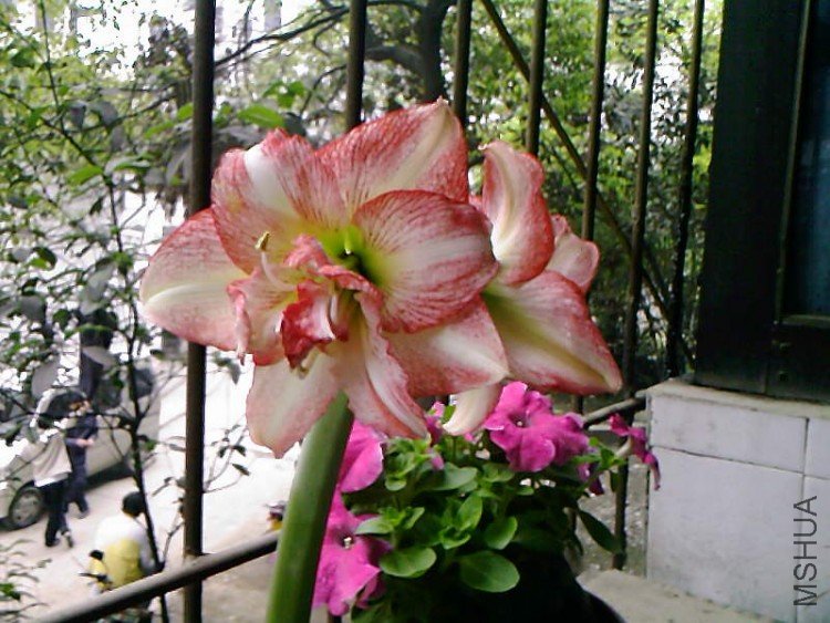 ��Ƭ-1044.jpg