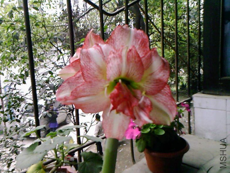 ��Ƭ-1047.jpg