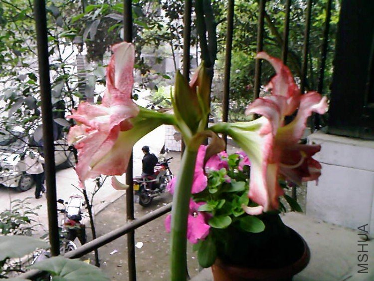 ��Ƭ-1045.jpg