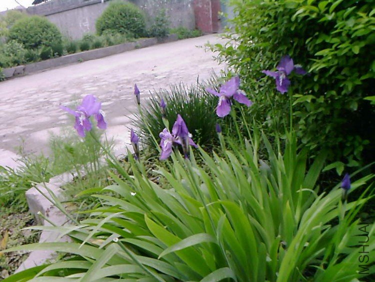 ��Ƭ-1034.jpg