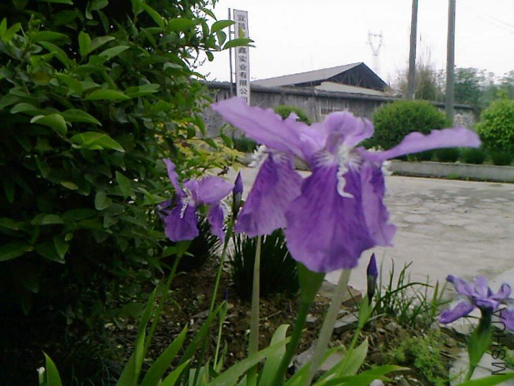 ��Ƭ-1037.jpg