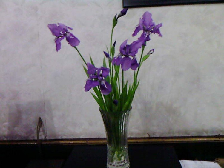 ��Ƭ-1038.jpg
