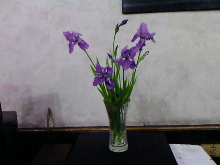 ��Ƭ-1039.jpg