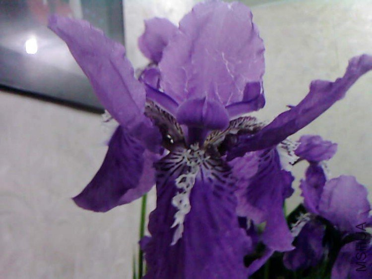 ��Ƭ-1051.jpg