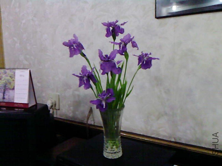 ��Ƭ-1057.jpg