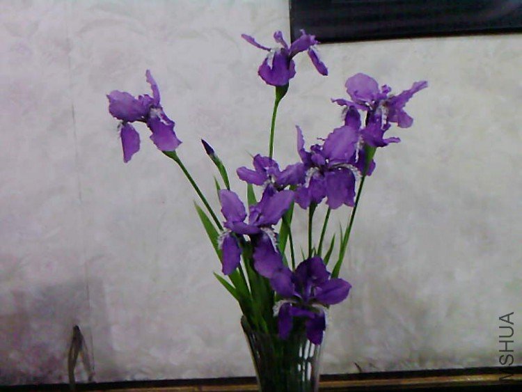 ��Ƭ-1053.jpg