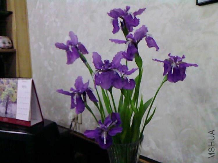 ��Ƭ-1058.jpg