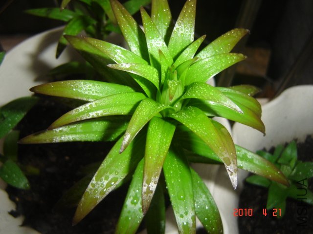 DSC01122.JPG
