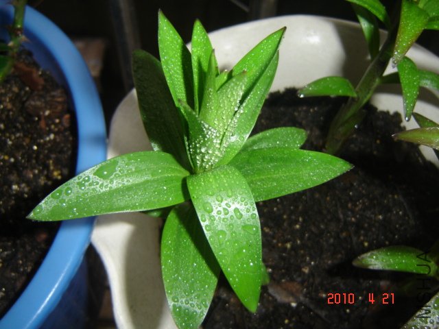 DSC01121.JPG