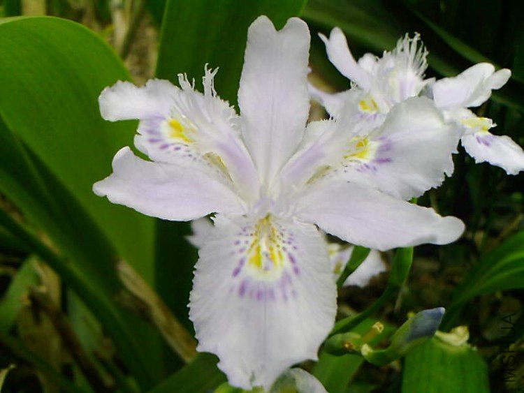 ��Ƭ-1056.jpg