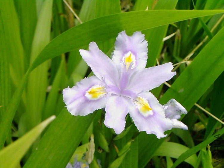 ��Ƭ-1054.jpg
