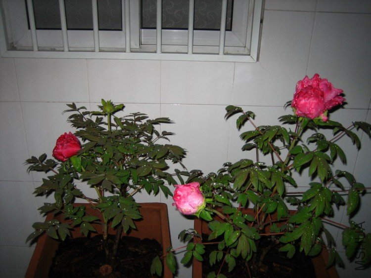 ��ߵ��ǻ����ұߵ��ǵ���