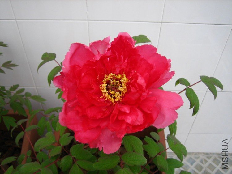 ȫ���ĵ���