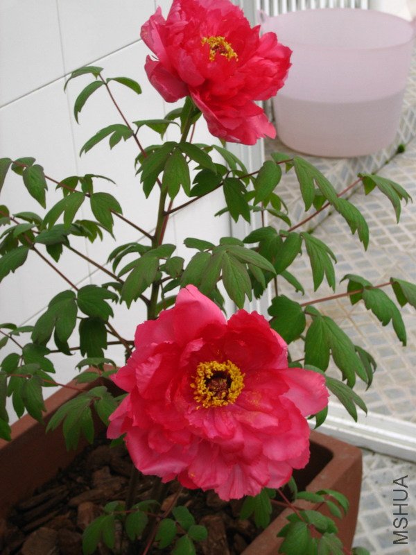 �������䶼����