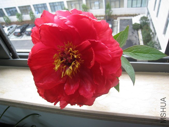 2010-04-22 003_��С��С.jpg