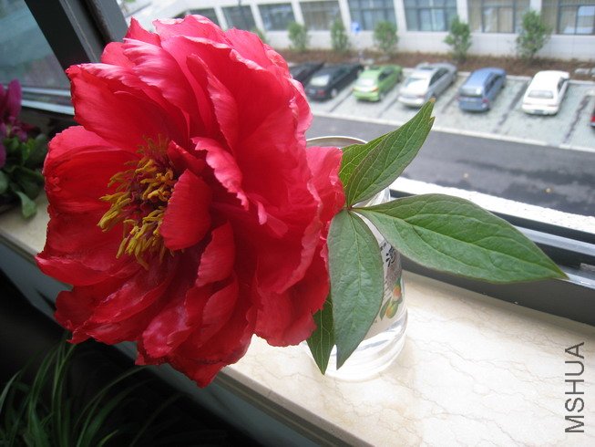 2010-04-22 004_��С��С.jpg