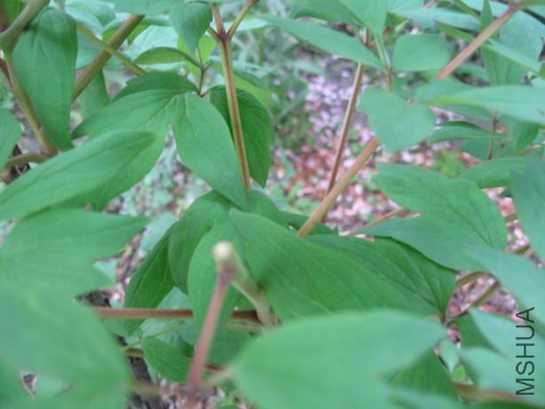 ������С 2010-04-22 019.jpg