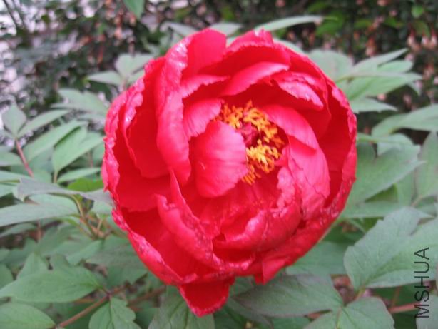 ������С 2010-04-22 028.jpg