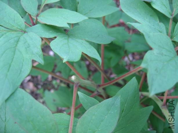 ������С 2010-04-22 020.jpg