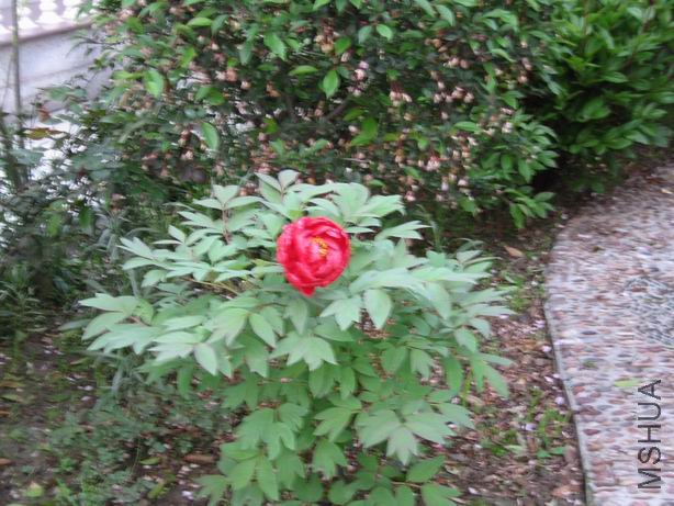 ������С 2010-04-22 038.jpg