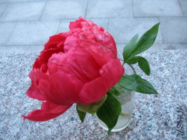 ���µ�����һ��