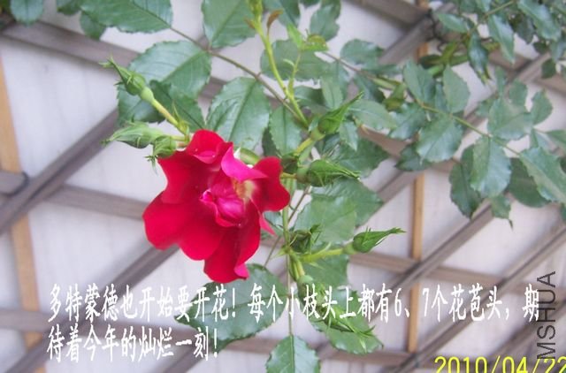 100_6888.jpg
