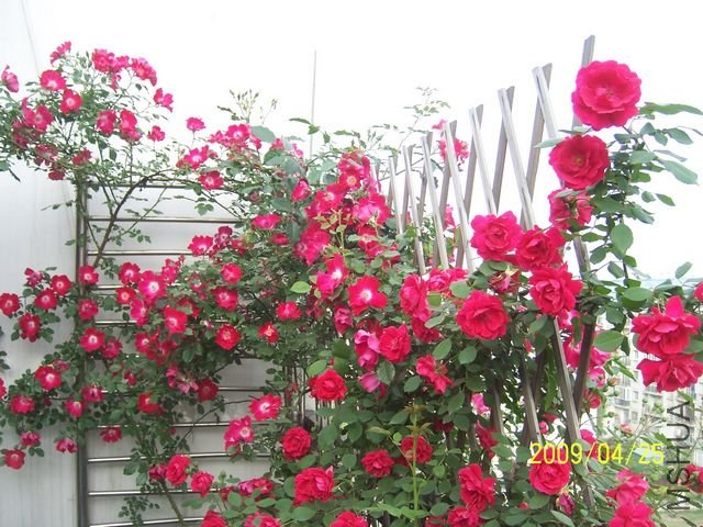 100_6209.JPG