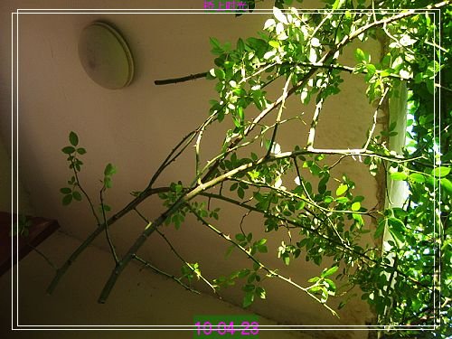 nEO_IMG_��Ƭ 181.jpg
