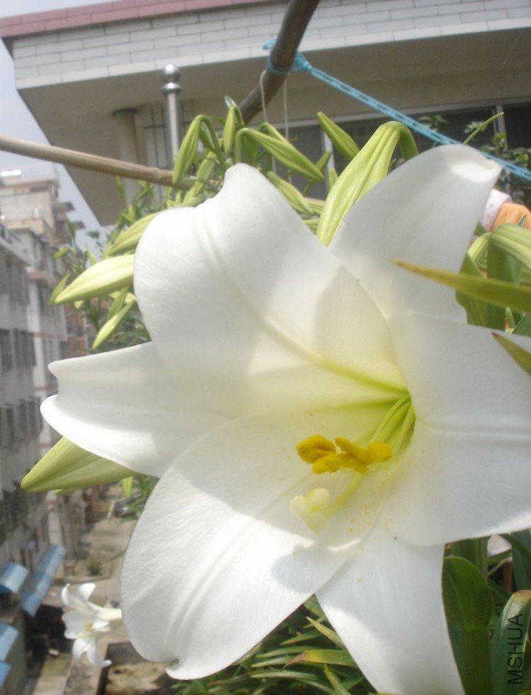 DSC012940.jpg