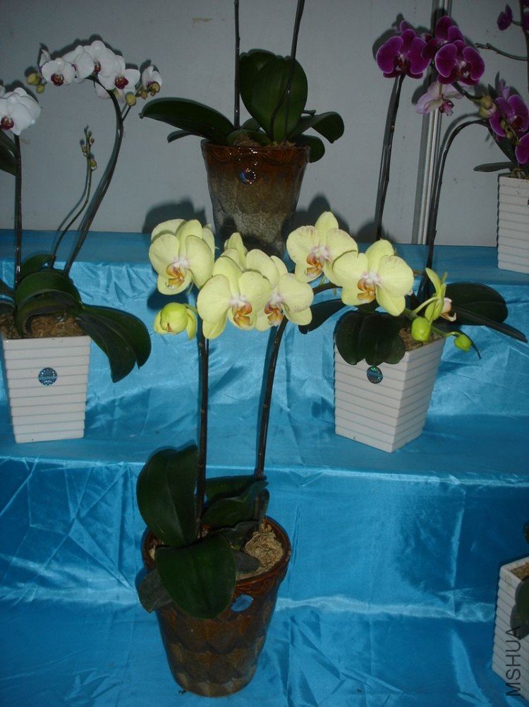 DSC00542.JPG
