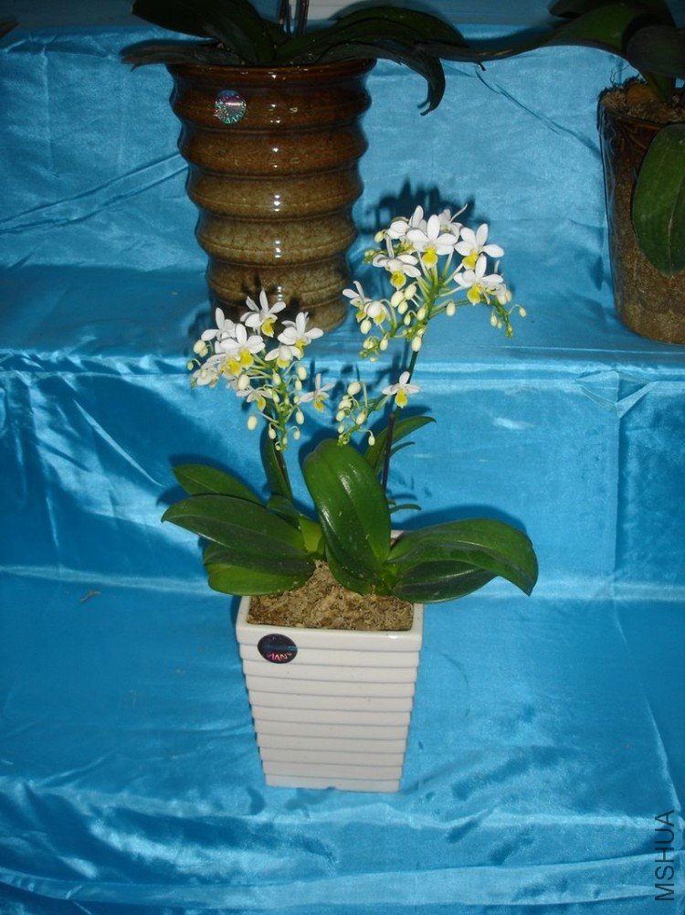 DSC00543.JPG