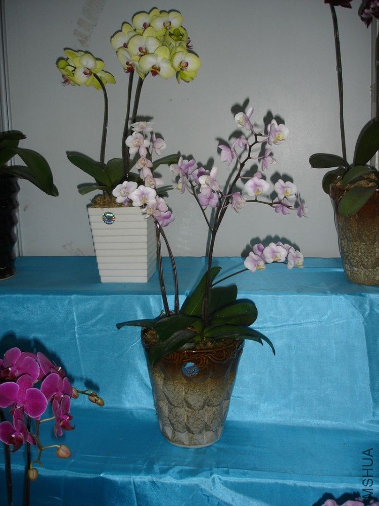 DSC00545.JPG