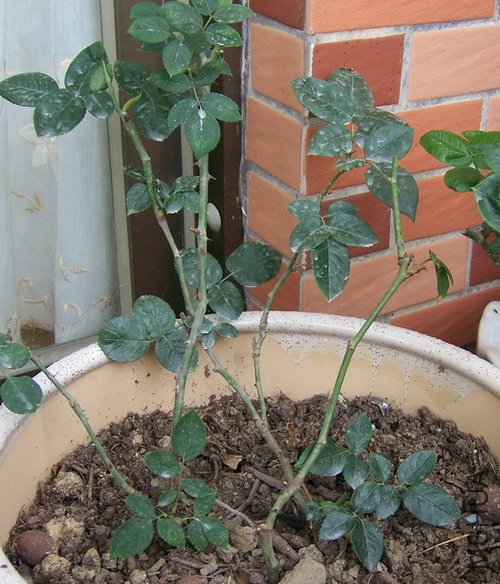 100_4502.jpg