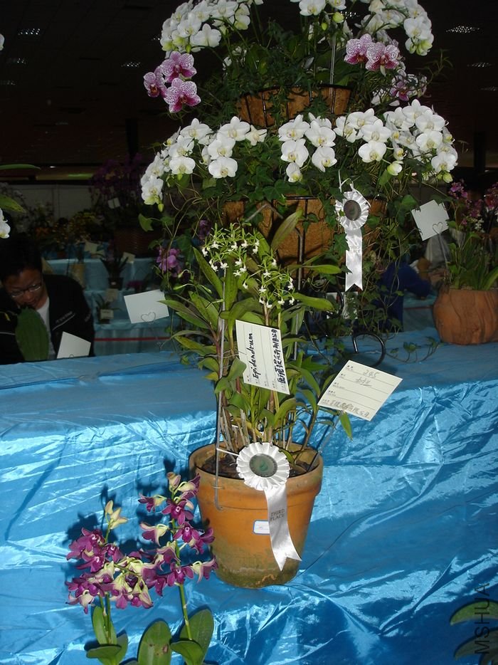 DSC00555.JPG