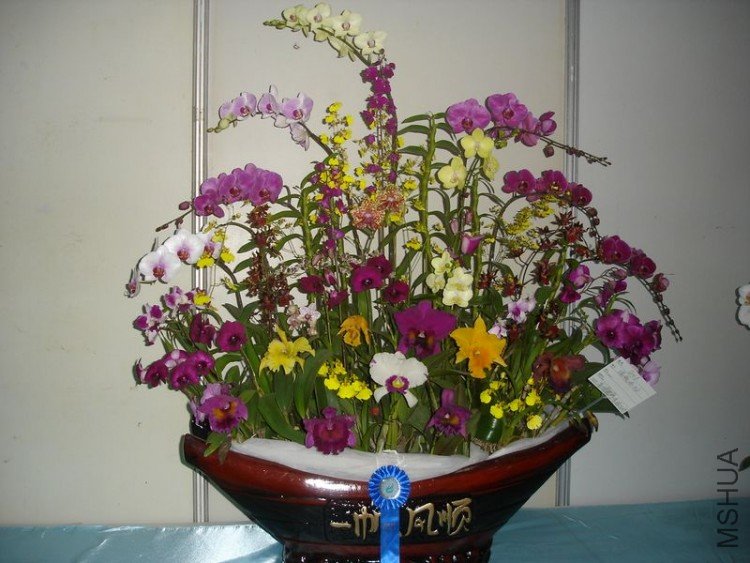 DSC00566.JPG