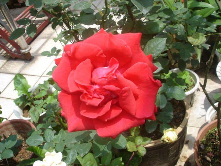 DSC01301.JPG