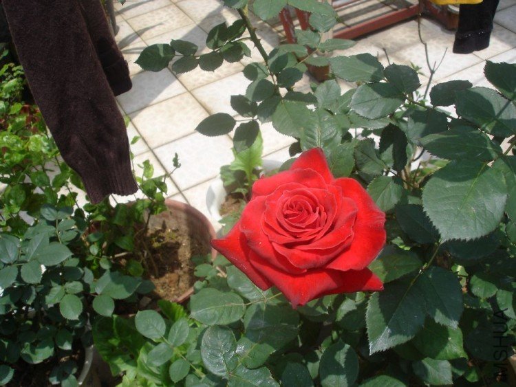 DSC01300.JPG