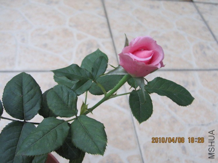 IMG_0022.jpg